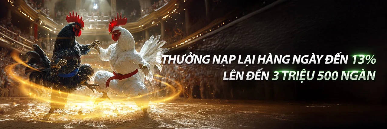 Sân vận động đầy ắp khán giả và ánh sáng rực rỡ, biểu tượng cho cá cược thể thao sôi động tại banca90 hiện đang mở